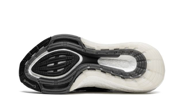 ADDS Ultraboost 21 Schwarz Weiß