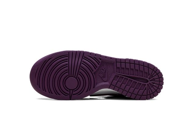 NK Dunk Low Viotech